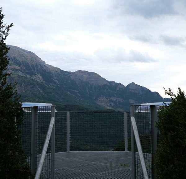 Elevate Your Services 654010222 Online Platform