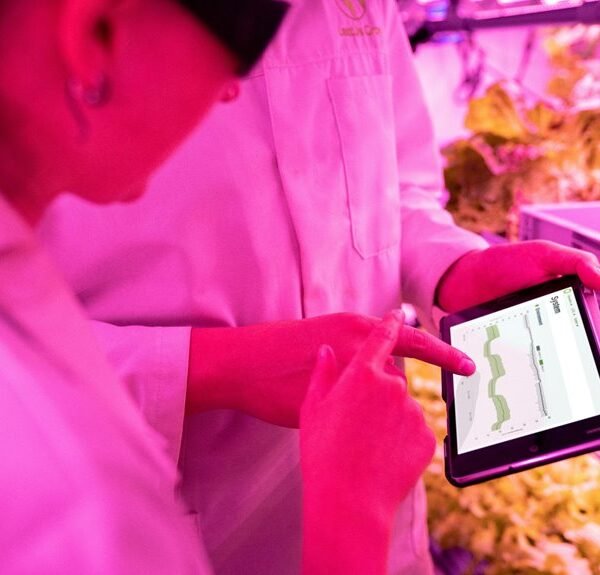 Improve Your Growth 266262276 Digital Tools