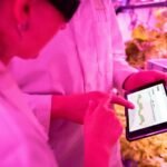 optimize digital growth tools